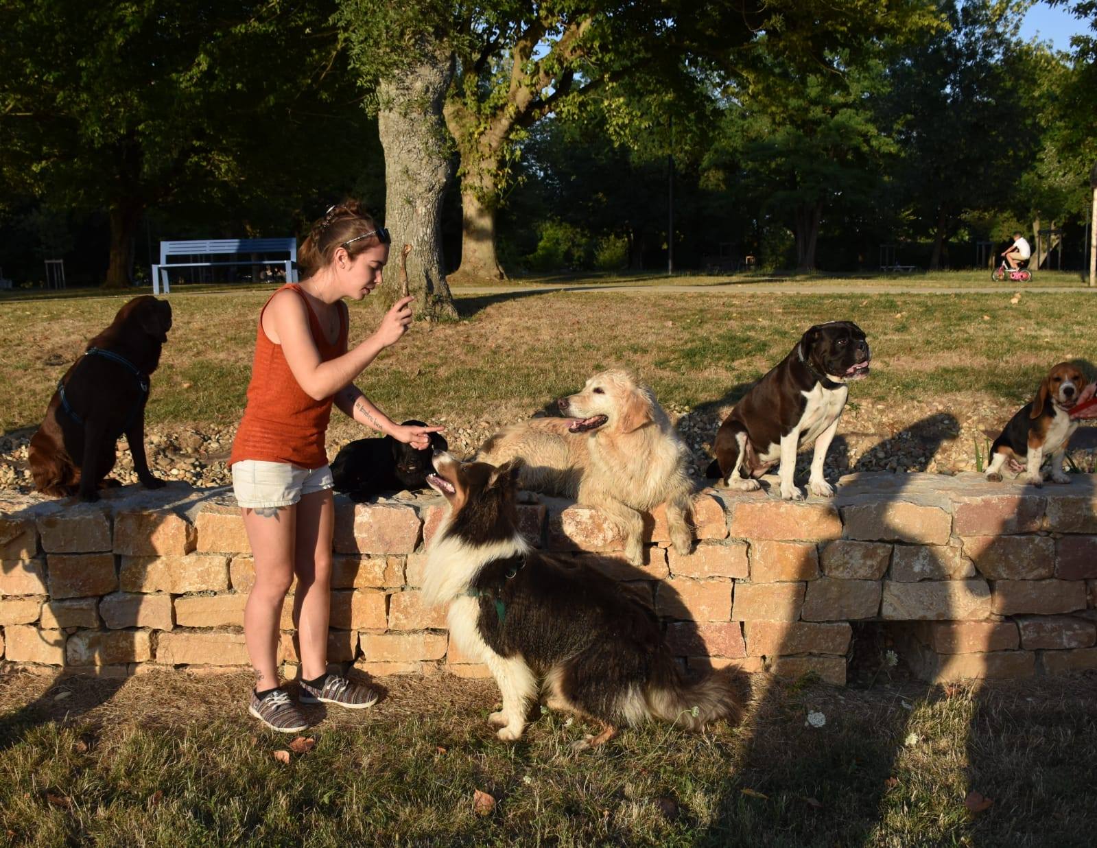 éducation et dressage de chiens Savoie